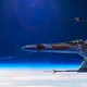 Illustration for article titled Rogue Leader, Standing By